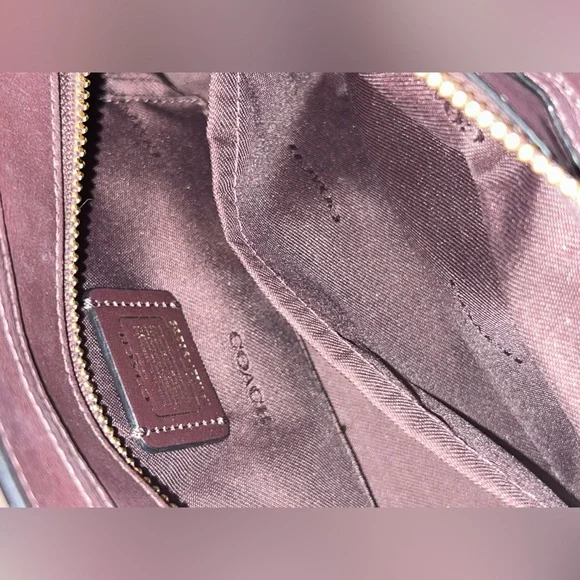 Coach Swagger Mini - Picture 13 of 15